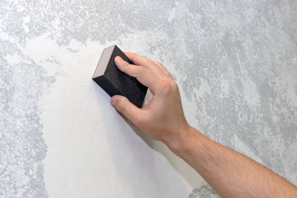 Best Forensic Mold Investigation  in Millersburg, OR