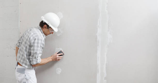 Forensic Mold Investigation in Millersburg, OR