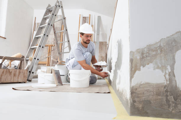 Mold Documentation for Insurance Claims in Millersburg, OR