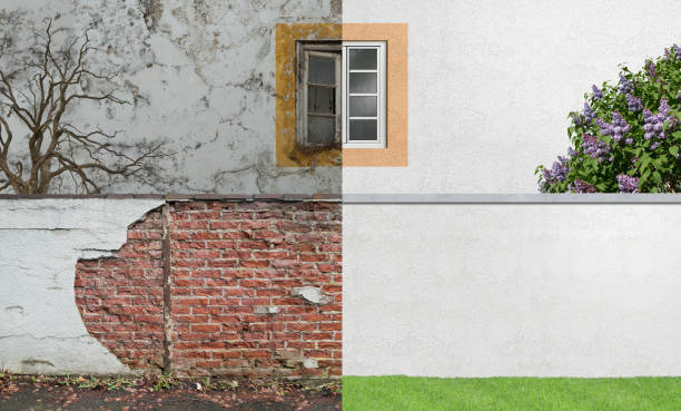 Best Emergency Mold Remediation  in Millersburg, OR