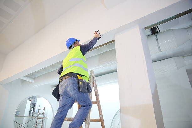 Best Mold Documentation for Insurance Claims  in Millersburg, OR