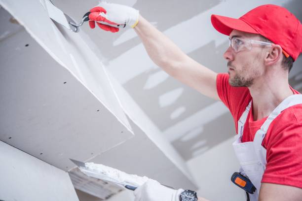 Best Mold Documentation for Insurance Claims  in Millersburg, OR